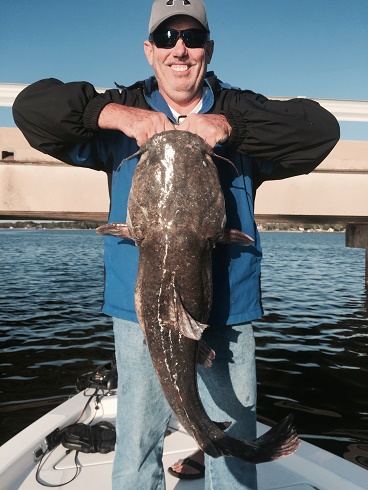 Gregs Large Catfish